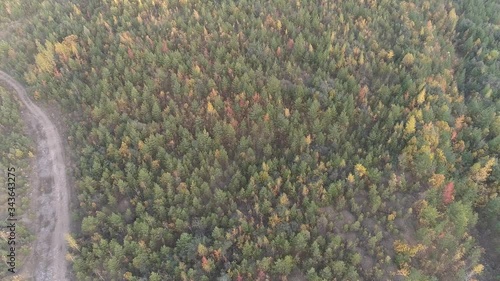 fly over autumn colour forest  photo