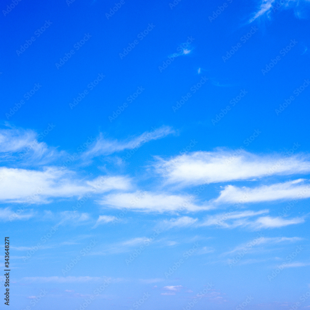 Fototapeta premium 青空と雲