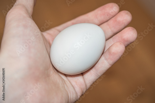 Person holding a raw white egg in palm of hand background