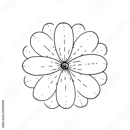 isolated ink line black and white flower