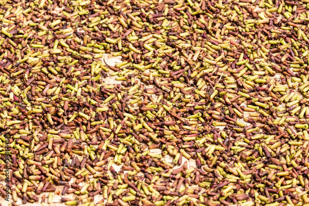 cloves are left to dry in the sun
cloves are left to dry in the sun