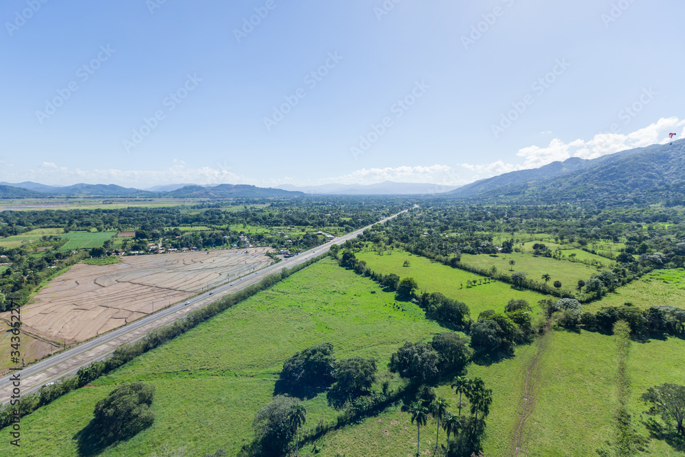 Meadow aerial view landscape with green grass field, cane plantation harvesting, forest and blue sky 