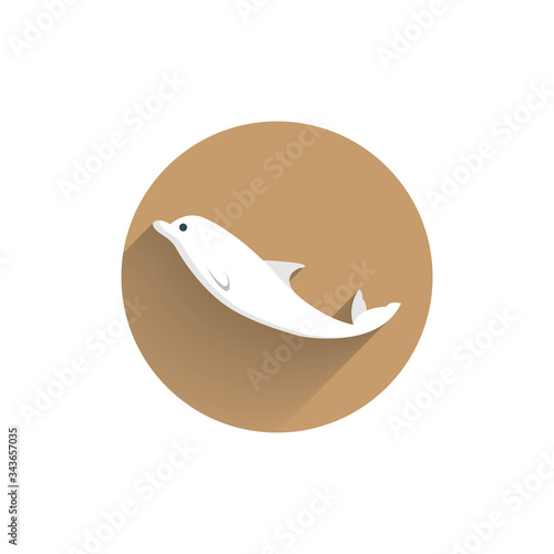 Dolphin colorful flat icon with shadow. Dolphin flat icon
