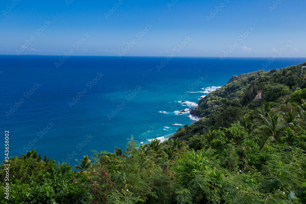 Caribbean sea bay and green jungles landscape aerial top view from mountain in Dominican Republic