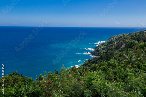 Caribbean sea bay and green jungles landscape aerial top view from mountain in Dominican Republic © Irina
