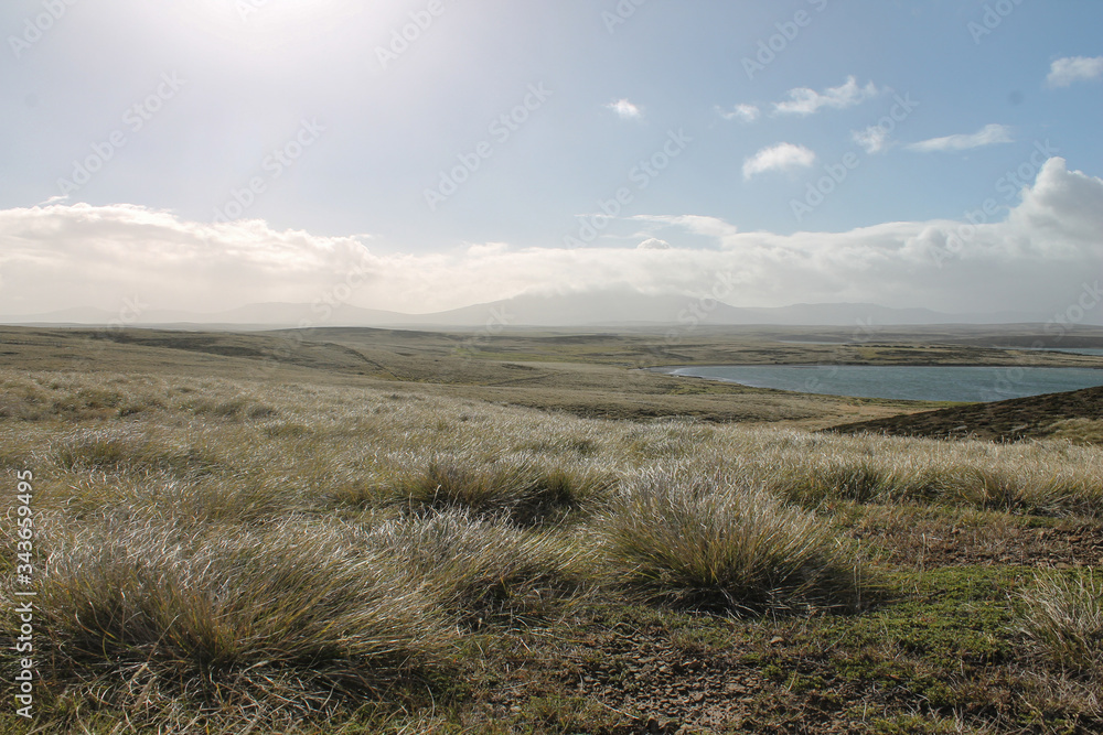 Fototapeta premium grass and clouds