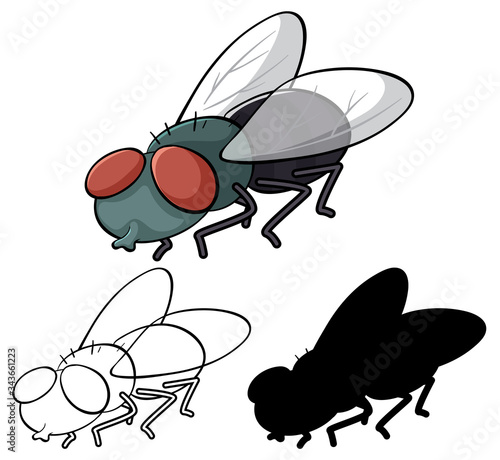 Set of fly cartoon