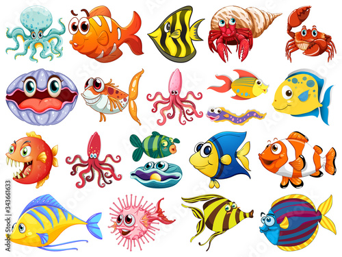 Large set of sea creatures on white background