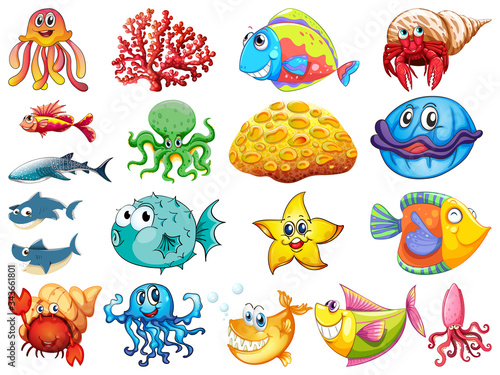 Large set of many sea creatures on white background