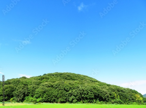 日本の田舎の風景　8月　水田の稲と山と青空