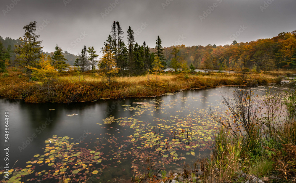 Fototapeta premium Autumn in Wisconsin