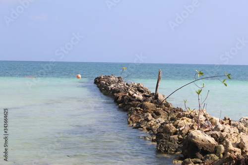 beach and sea