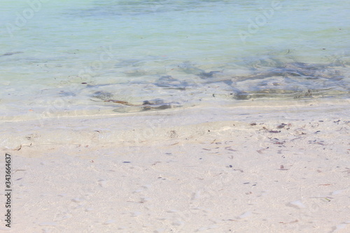 waves on the beach