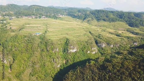 Terraced fields with green or yellow rice, houses with some tiled roofs and green trees in Jiabang, Congjing, Guizhou, China (aerial photography) photo