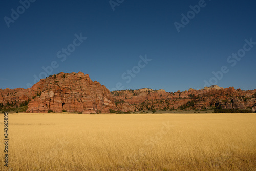 Tall Grasses Cover Field Near Rocky Outcropping