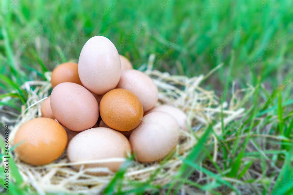 There are many eggs that are stacked together and have one egg that has a beautiful shape put on top with the background is green grass. Happy Easter day concept There are many eggs that are stacked together and have one egg that has a beautiful shape put on top with the background is green grass. Happy Easter day concept