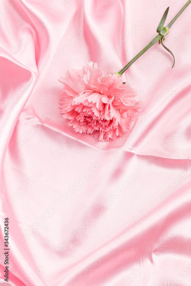 The carnation is a symbol of love for your mother The carnation is a symbol of love for your mother