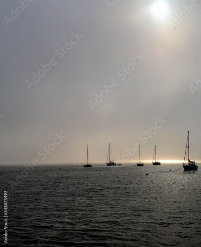 Sailboats off the Maine coast in the morning fog.