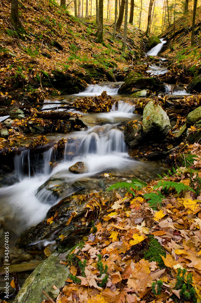 Waterfall flowing through forest with autumn leaves