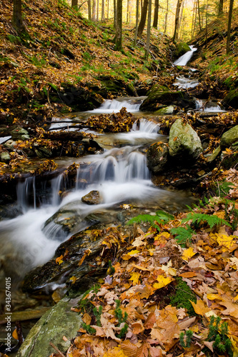 Fototapeta Naklejka Na Ścianę i Meble -  Waterfall flowing through forest with autumn leaves