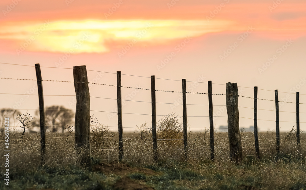 Wire fence at sunset in the Argentine countryside.