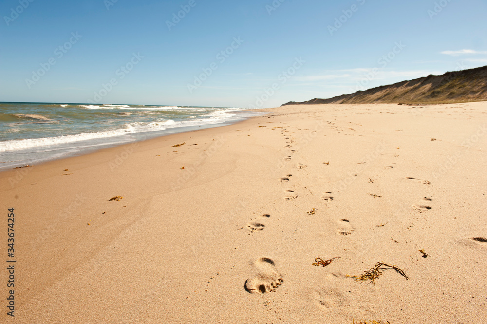 Footprints in the sand on beach in Cape Cod, Massachusetts Footprints in the sand on beach in Cape Cod, Massachusetts