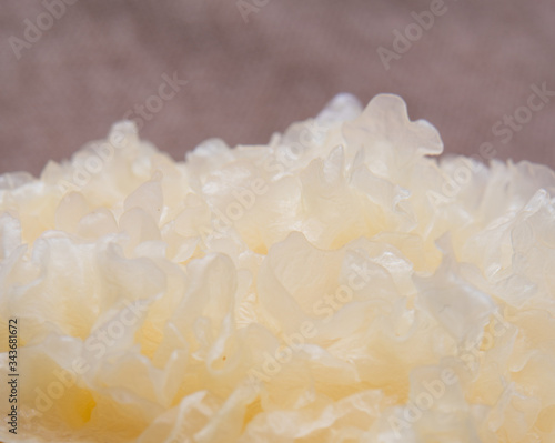 White fungus on linen tablecloth © Allen Chen