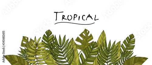 Seamless border (pattern) tropical or forest leaves with many shades of green, oval or ovoid type with cuts. Sketch inscription topical. Isolated on a white background