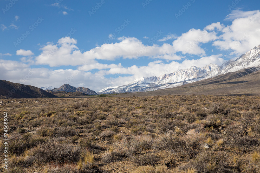 high desert landscape with snowy mountains 