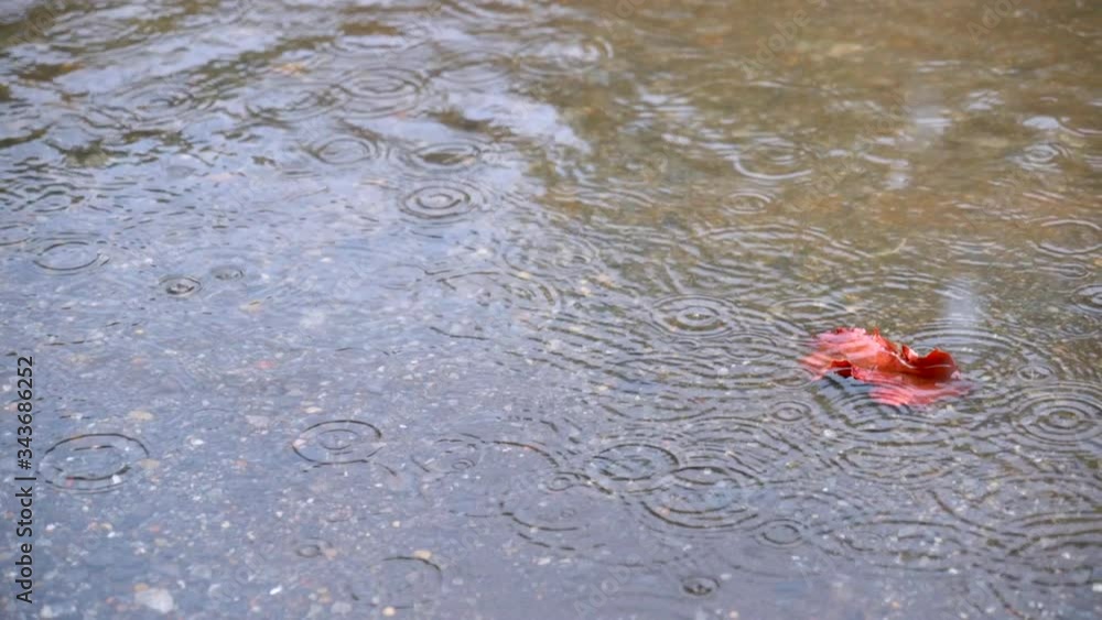 Slow motion of water drops falling into the water surface Slow motion of water drops falling into the water surface