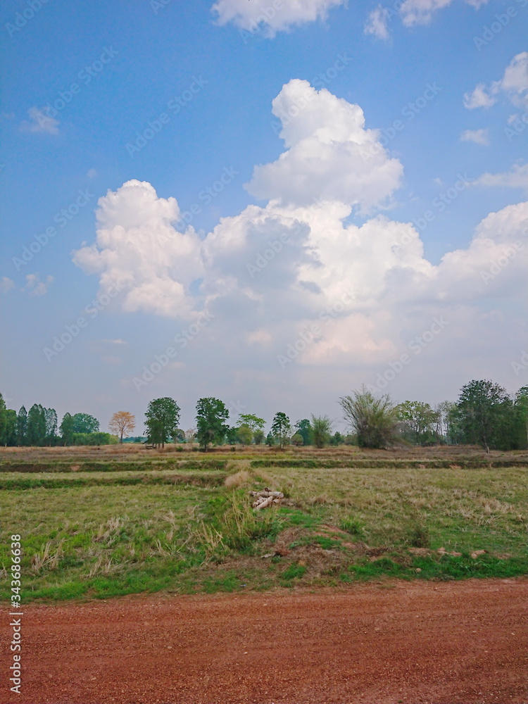 Savannah field Thailand nature countryside Savannah field Thailand nature countryside