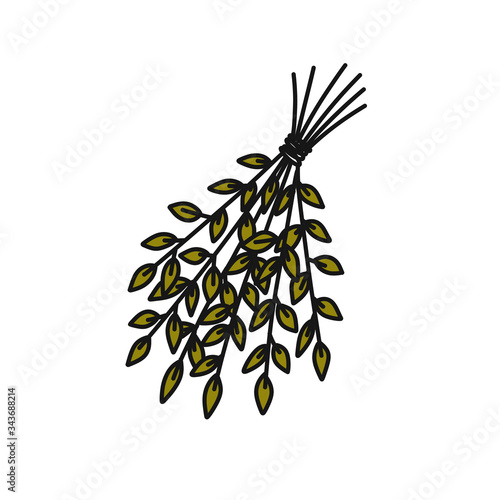 sauna broom doodle icon, vector illustration