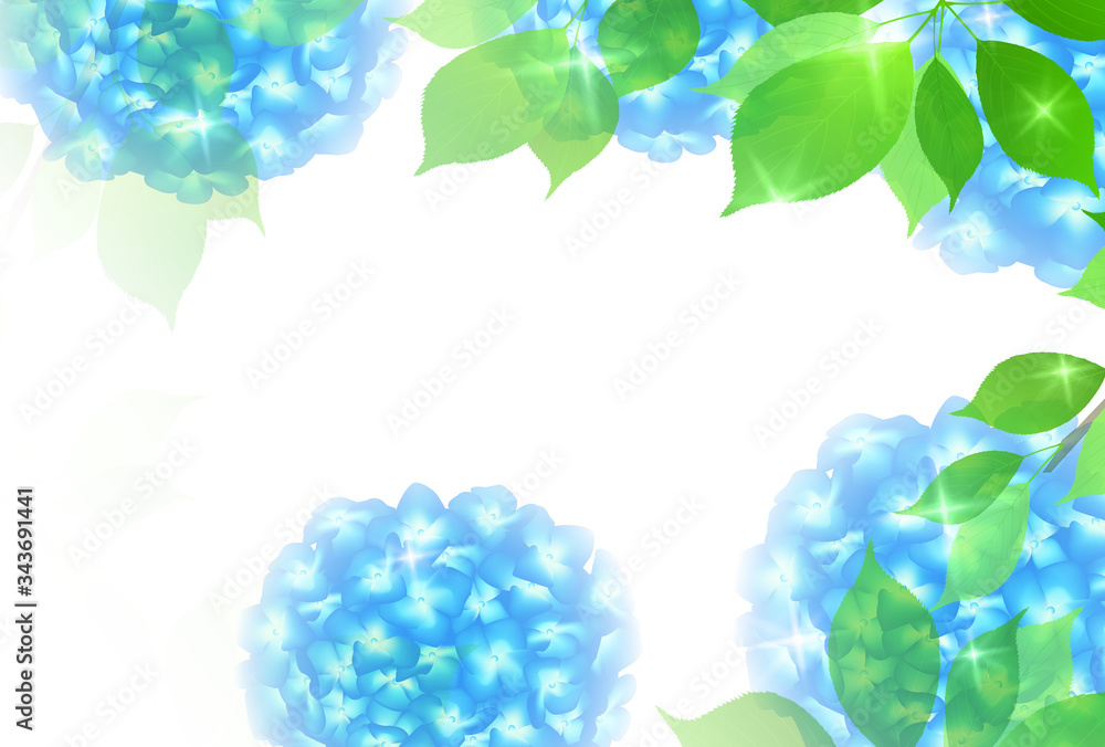 あじさい　梅雨　花　背景