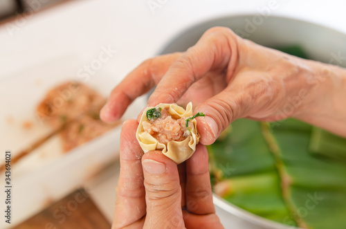 Shrimp chinese steamed dumpling