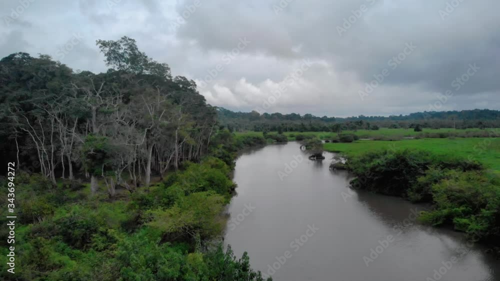 Beautiful jungle river with green plains and high trees in Loango National Park, drone shot in Gabon Beautiful jungle river with green plains and high trees in Loango National Park, drone shot in Gabon