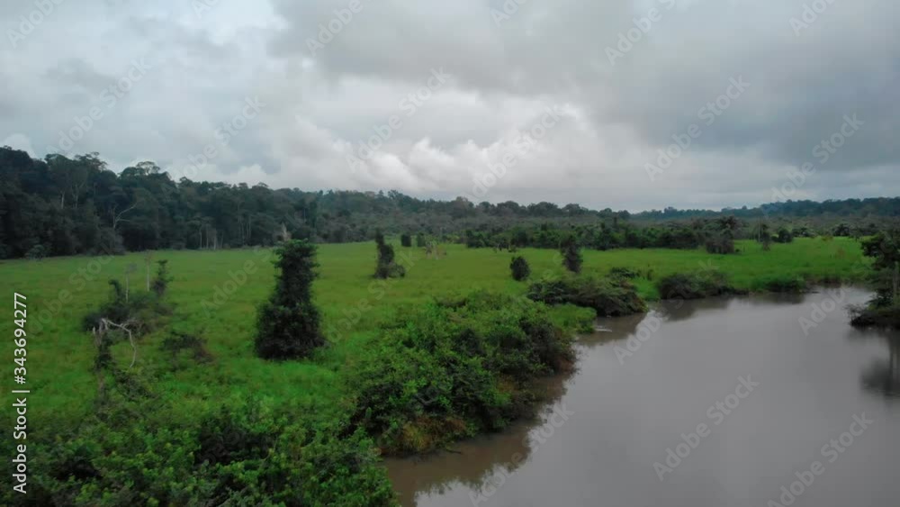 Green plains by the river in Gabon, drone shot in Loango National Park Green plains by the river in Gabon, drone shot in Loango National Park