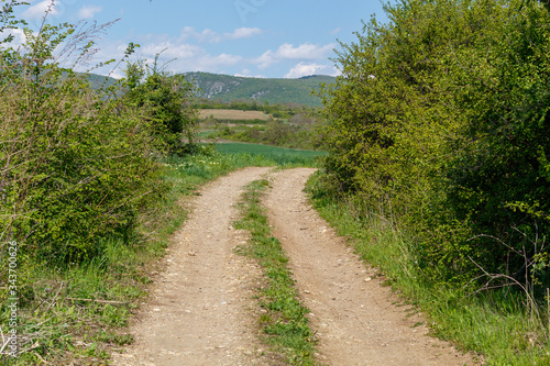 Dirt Road in The Countryside