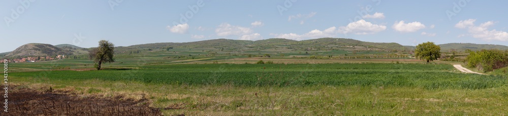 Landscape Scene With Wheat Fields, Trees and Hills in The Background Landscape Scene With Wheat Fields, Trees and Hills in The Background