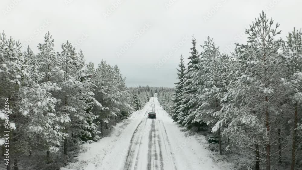 Car driving on a road surrounded by forest & trees covered in snow ...