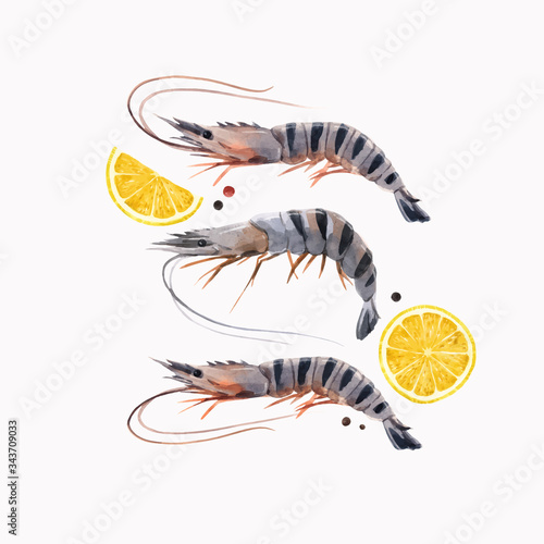 Beautiful vector stock illustration with watercolor hand drawn shrimps and lemon.