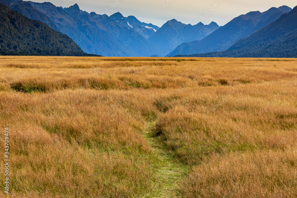 Fototapeta premium Landscape at Eglinton valley in New Zealand. South Island.