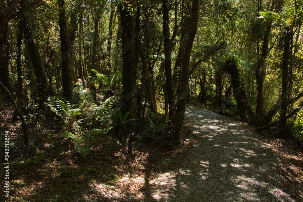 Obraz premium Wharekai Te Kou Walk at Jackson Bay in Mount Aspiring National Park,West Coast on South Island of New Zealand
