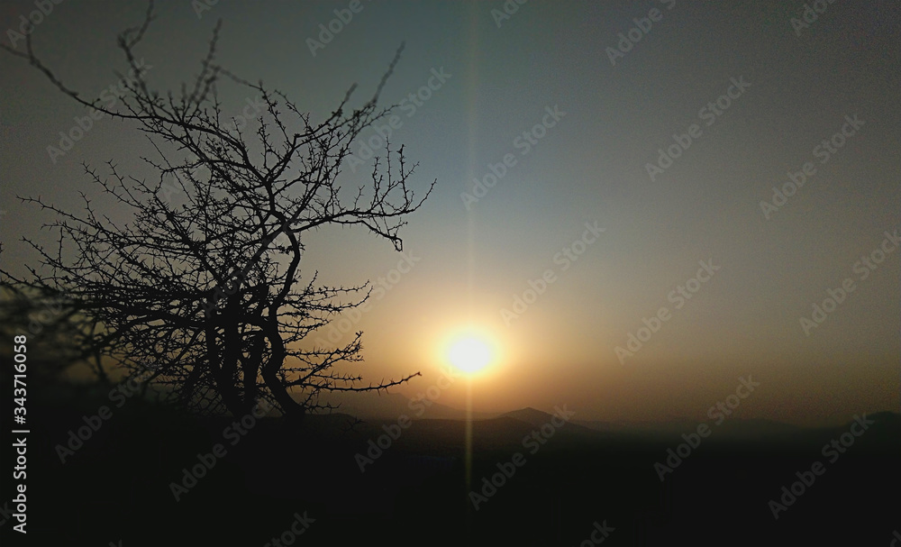 Fototapeta premium sunset in the forest
