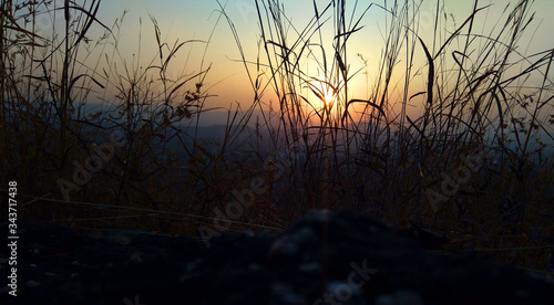 sunset on the grass