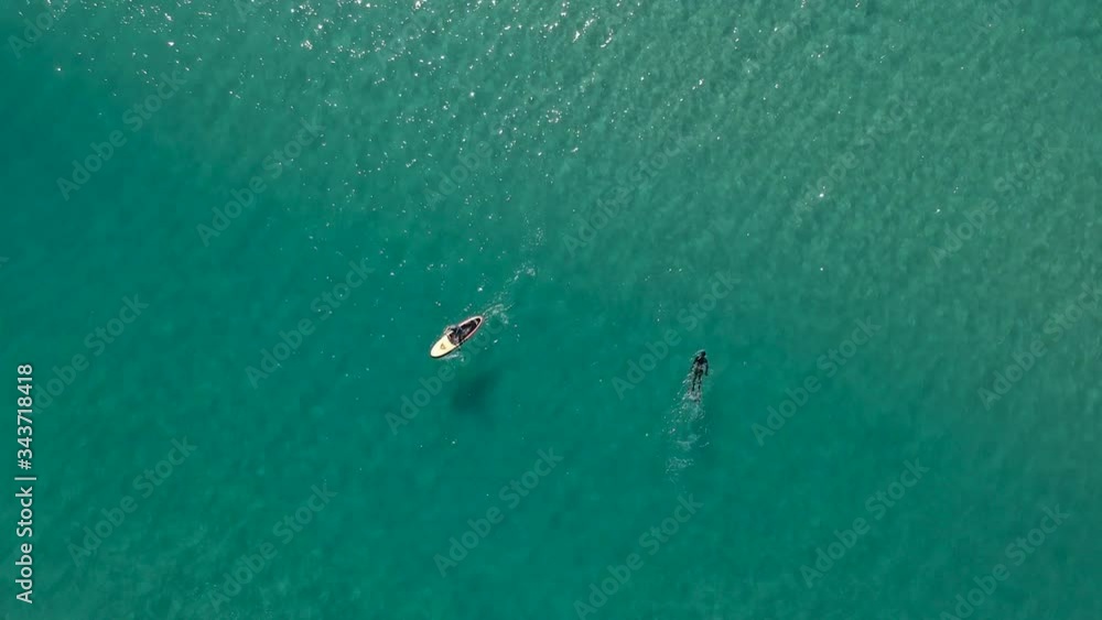 A paddle boarder passes a spear fisherman in the open waters while waves roll by on a glistening ocean surface A paddle boarder passes a spear fisherman in the open waters while waves roll by on a glistening ocean surface