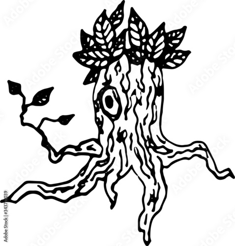 
Live tree stump looking at its branch