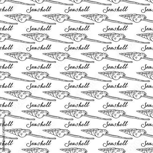 Tibia Fusus. Seamless pattern of seashells and calligraphy. Black and white hand-drawn collection. Vector illustration on a white background. photo