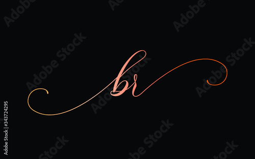 br or b, r Lowercase Cursive Letter Initial Logo Design, Vector Template