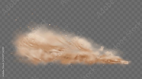 Road dust cloud with flying stones and particles isolated on transparent background. A cloud of dust sand flying from under the wheels of a fast-moving car or motorcycle. Realistic vector illustration photo