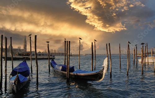 gondolas of Venice in italy © Philipimage